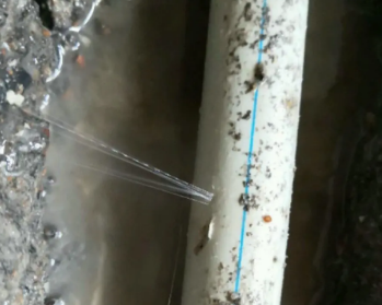 布尔津卫生间测漏水多少钱